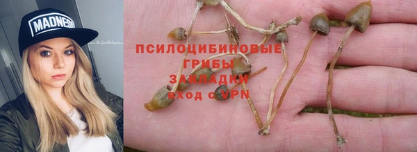 ешки Бугульма