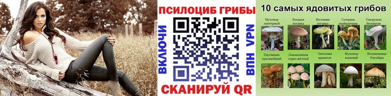 хочу наркоту  omg сайт  Псилоцибиновые грибы MAGIC MUSHROOMS  Буй 
